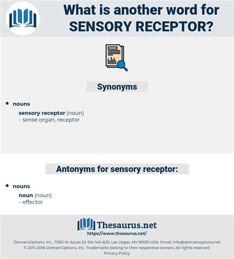 receptor synonym